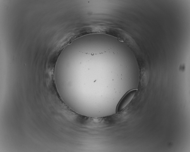 X0000111230329200907091341