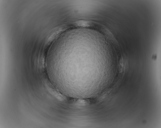 X0000111230330200907091341