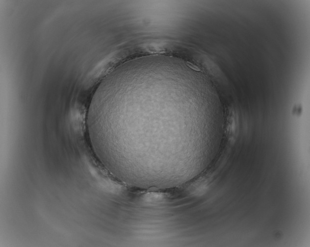 X0000111230332200907091341