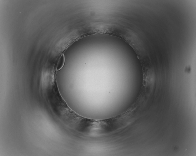 X0000111230334200907091341