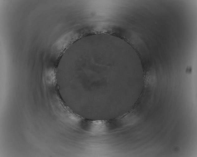 X0000111230335200907091341