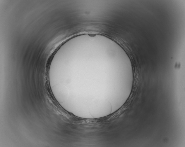 X0000111230338200907091340