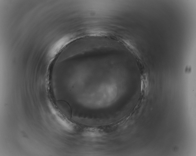 X0000111230339200907091340