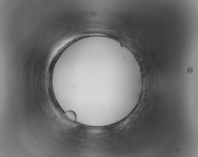 X0000111230342200907091340