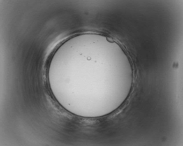 X0000111230343200907091340