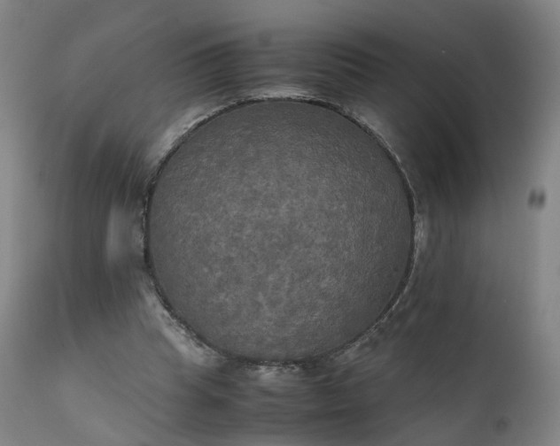 X0000111230345200907091340