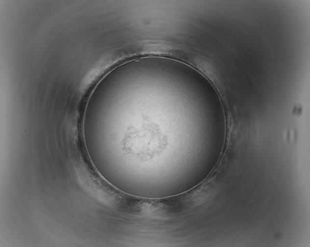 X0000111230346200907091340