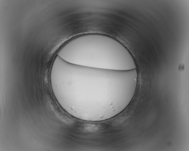 X0000111230347200907091340