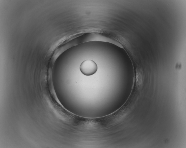 X0000111230348200907091340
