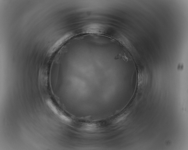 X0000111230349200907091341