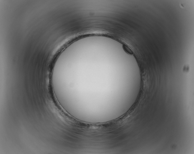 X0000111230350200907091341