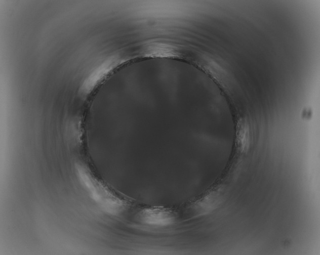 X0000111230351200907091341