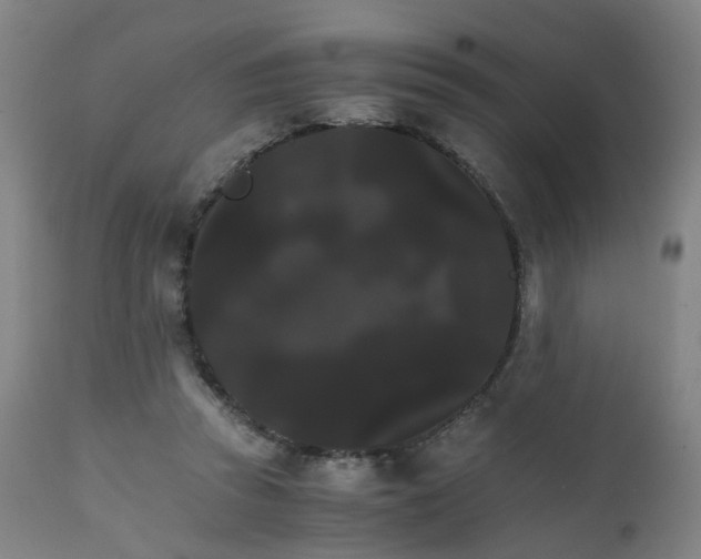 X0000111230353200907091341