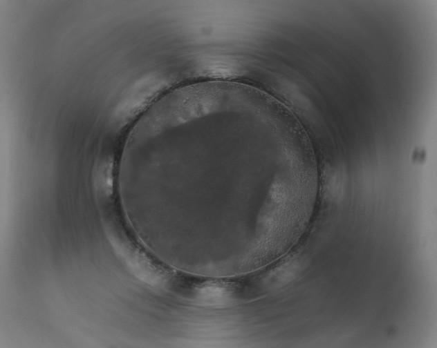 X0000111230358200907091341