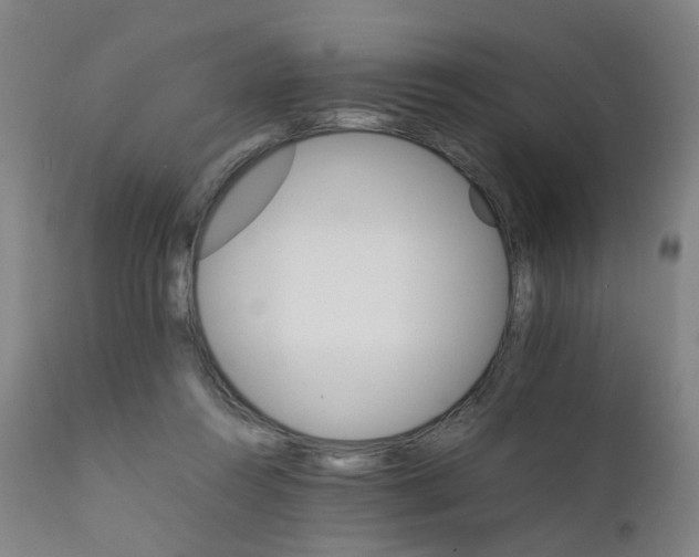 X0000111230360200907091341