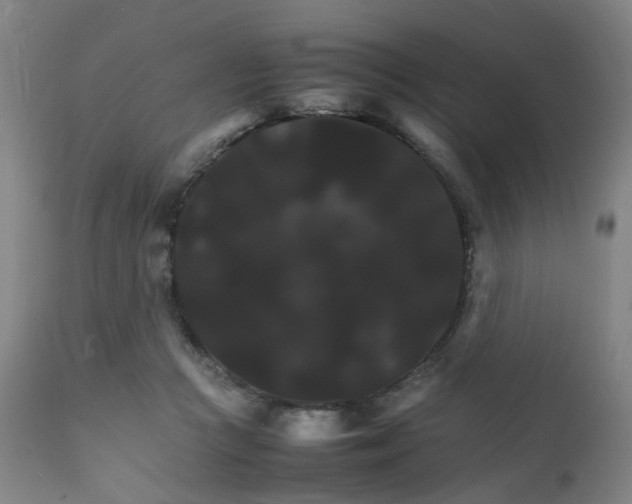 X0000111230361200907091341
