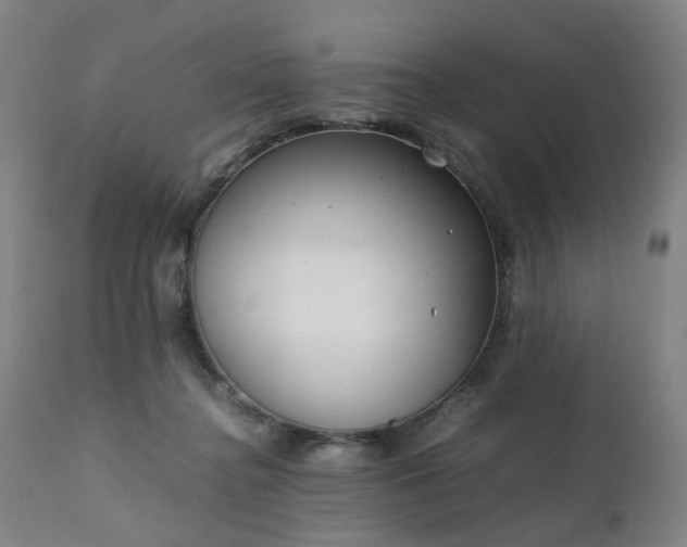 X0000111230364200907091341