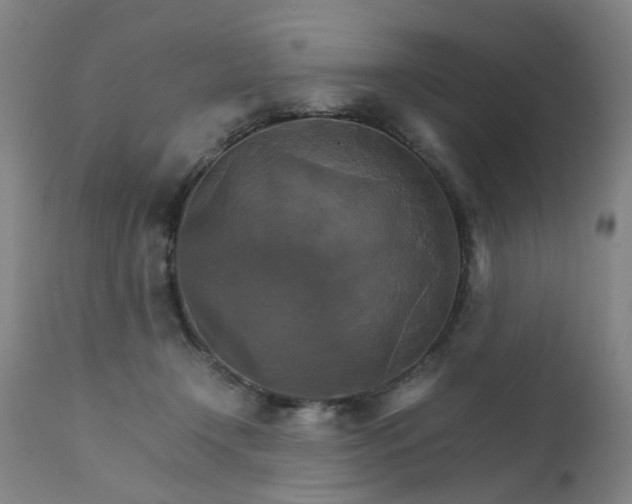 X0000111230366200907091341