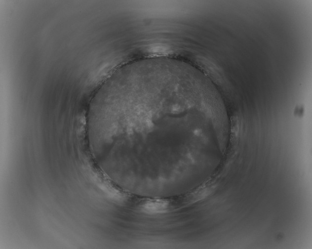 X0000111230369200907091341