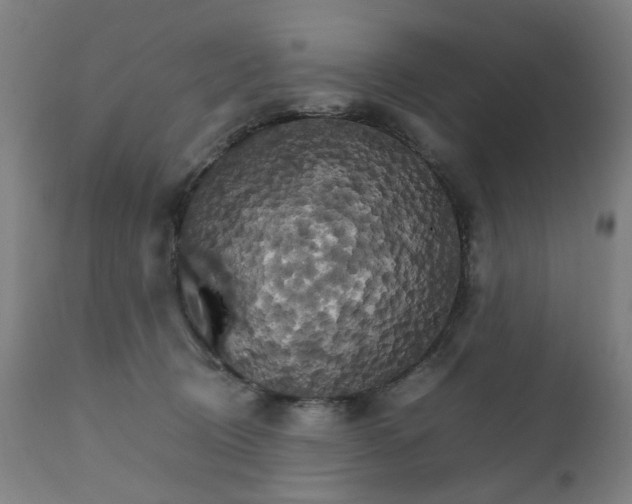 X0000111230370200907091341