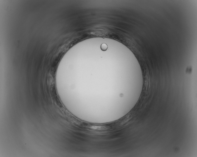 X0000111230371200907091341