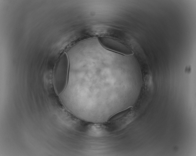 X0000111230372200907091341
