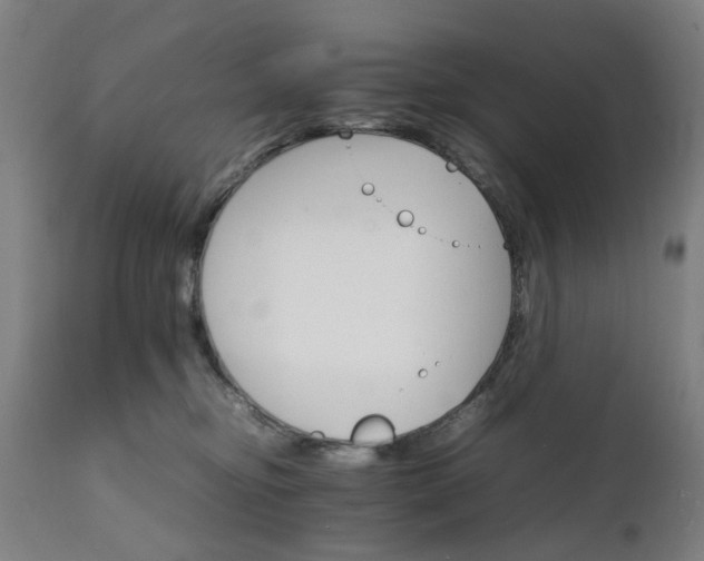 X0000111230374200907091341