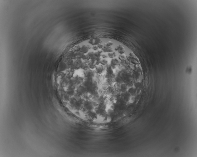 X0000111230375200907091341