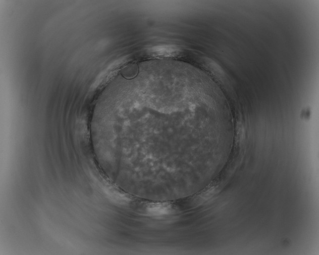 X0000111230377200907091341