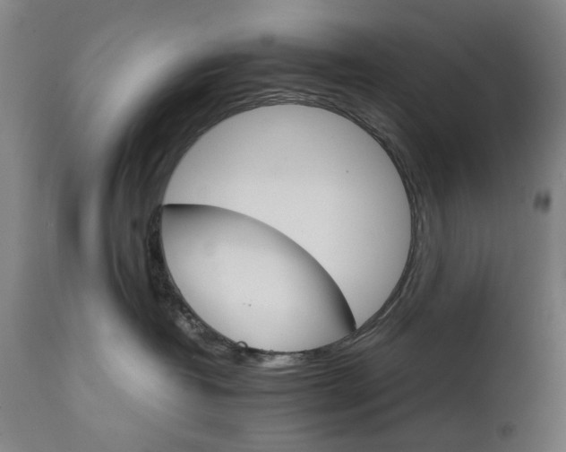 X0000111230382200907091341