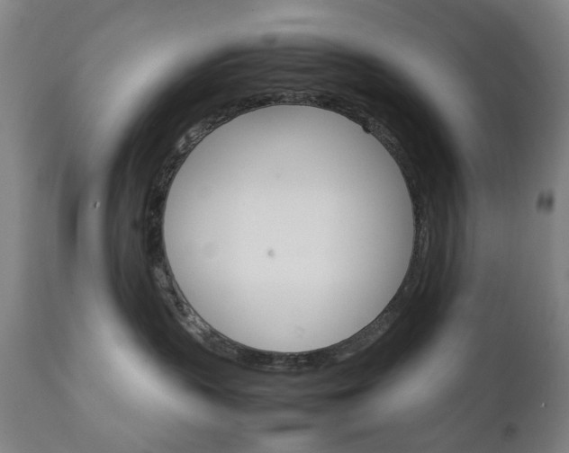X0000111230383200907091341