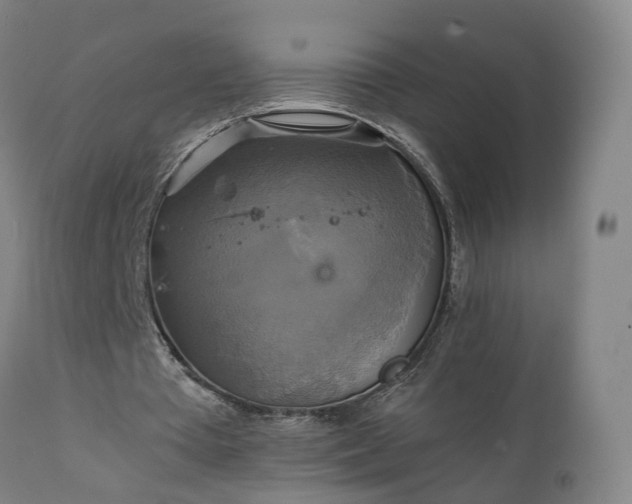 X0000111230385200907091340