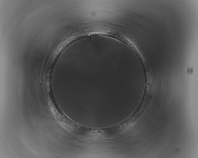 X0000111230386200907091340