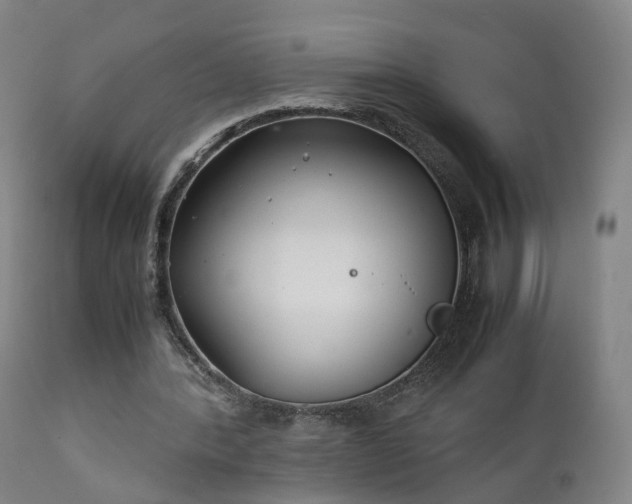 X0000111230388200907091340