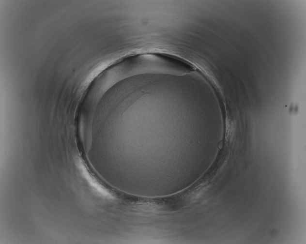 X0000111230389200907091340