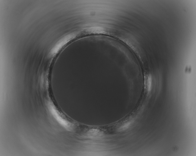 X0000111230390200907091340