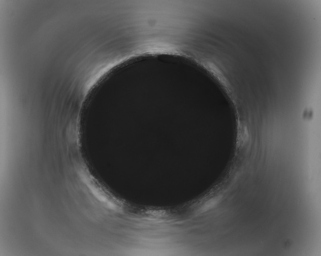 X0000111230391200907091340