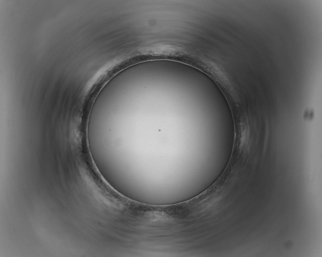 X0000111230392200907091340