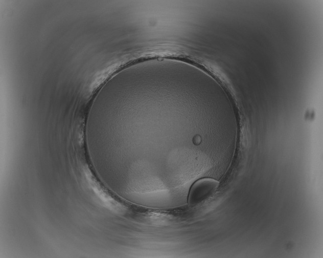 X0000111230393200907091340