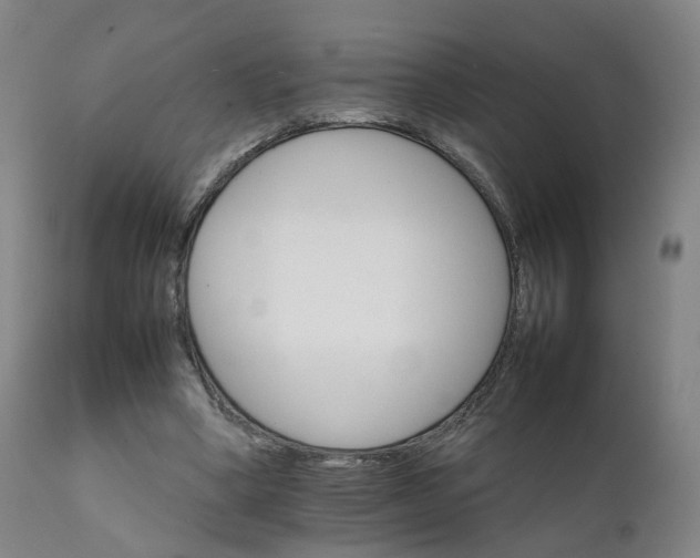 X0000111230394200907091340