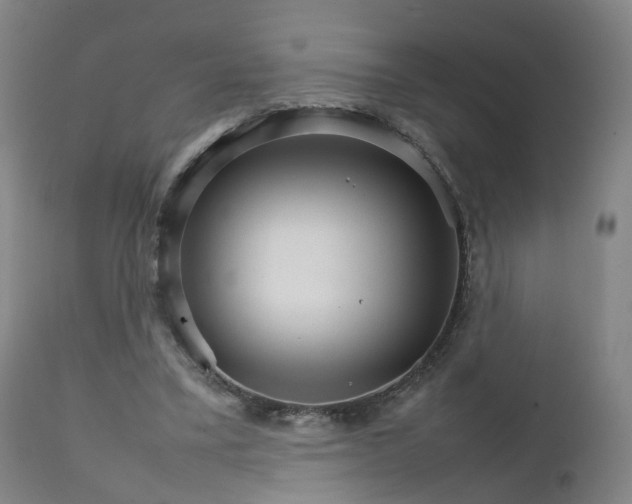 X0000111230395200907091340