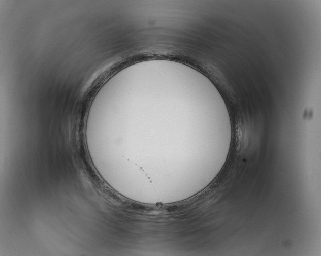 X0000111230396200907091340