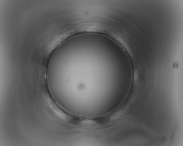 X0000111230397200907091340