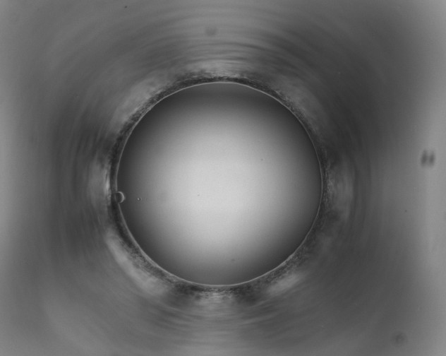 X0000111230398200907091340