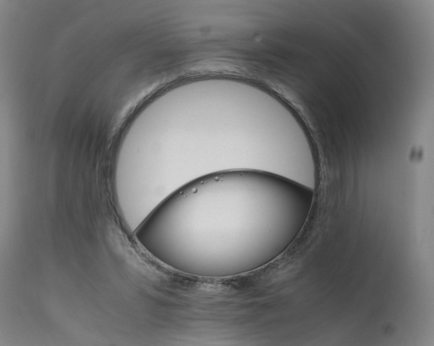 X0000111230399200907091340