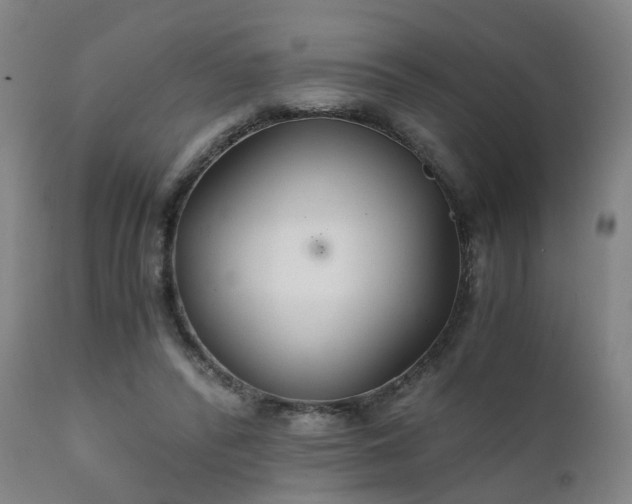 X0000111230400200907091340