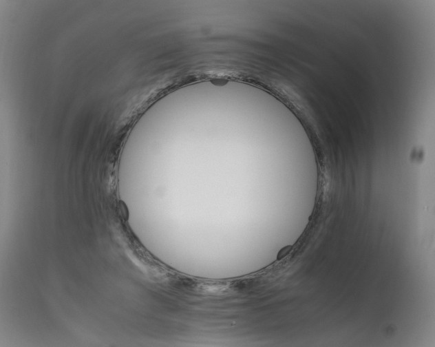 X0000111230401200907091340