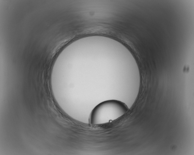 X0000111230403200907091340