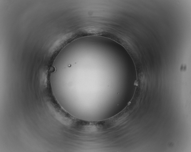 X0000111230404200907091340
