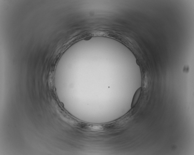 X0000111230409200907091340